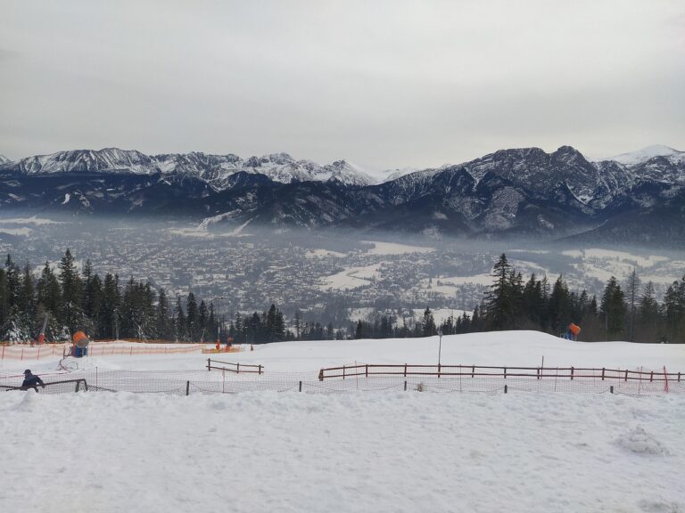 Zimowy wido z Gubałówki na Zakopane